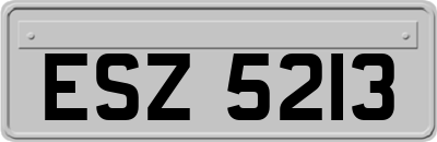 ESZ5213