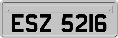 ESZ5216