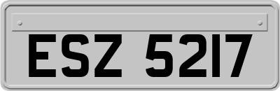 ESZ5217