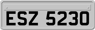 ESZ5230
