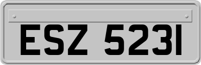 ESZ5231