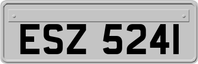 ESZ5241