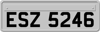 ESZ5246