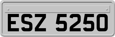 ESZ5250