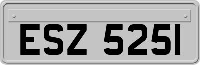 ESZ5251