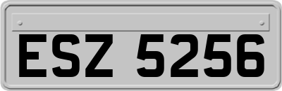 ESZ5256