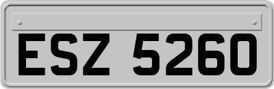 ESZ5260