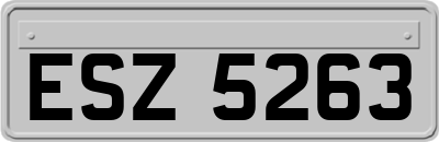 ESZ5263