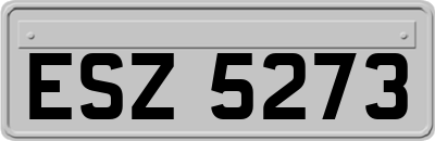 ESZ5273