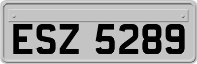 ESZ5289