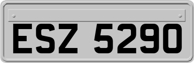 ESZ5290