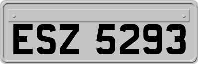 ESZ5293