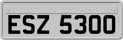 ESZ5300