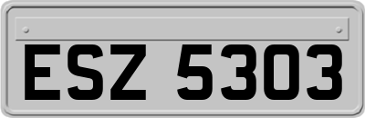 ESZ5303