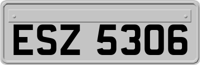 ESZ5306