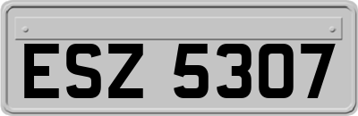 ESZ5307