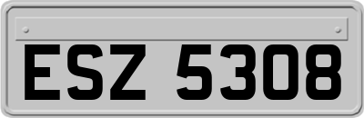 ESZ5308
