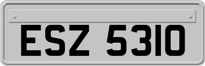 ESZ5310