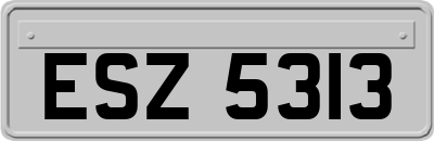 ESZ5313