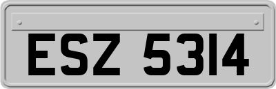 ESZ5314