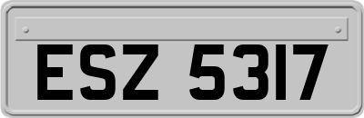 ESZ5317