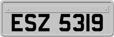 ESZ5319