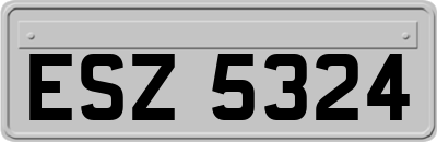 ESZ5324