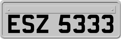ESZ5333
