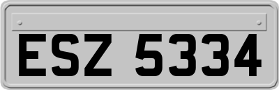ESZ5334