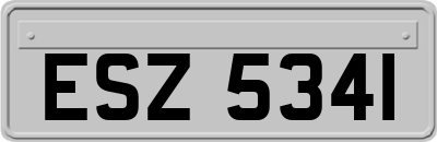 ESZ5341