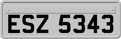 ESZ5343