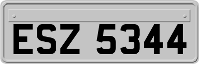 ESZ5344