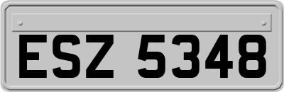 ESZ5348