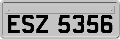 ESZ5356