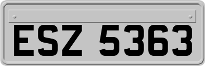 ESZ5363