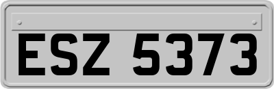 ESZ5373