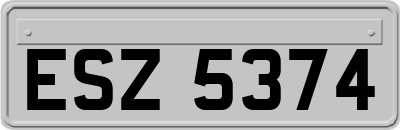 ESZ5374