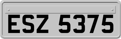 ESZ5375