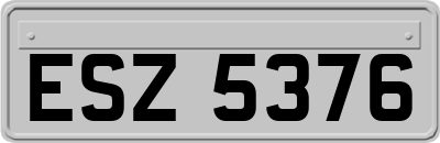 ESZ5376
