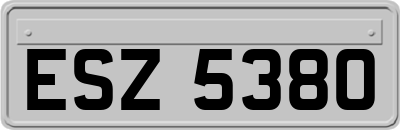 ESZ5380