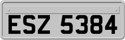 ESZ5384