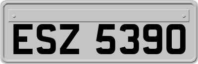 ESZ5390