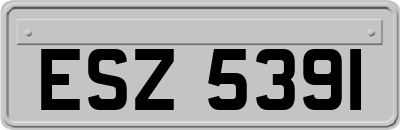 ESZ5391