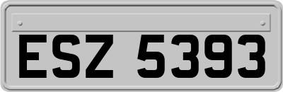 ESZ5393