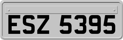 ESZ5395