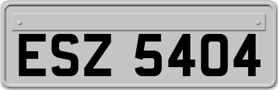 ESZ5404
