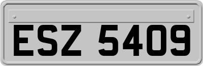 ESZ5409