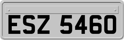 ESZ5460