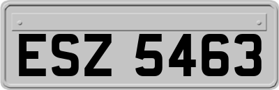 ESZ5463