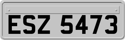 ESZ5473